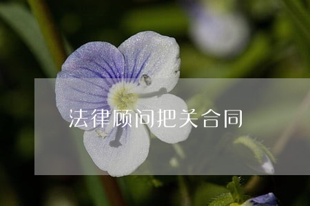 法律顾问把关合同 法律顾问把关合同