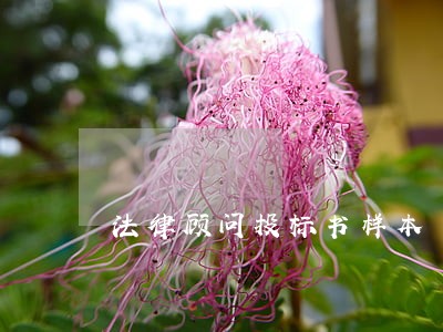 法律顾问投标书样本 法律顾问投标书样本