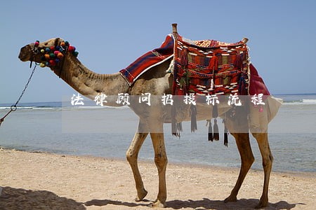 法律顾问招投标流程
