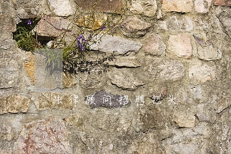 法律顾问招聘包头