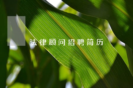 法律顾问招聘简历