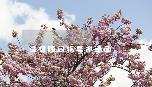 法律顾问指导邀请函 法律顾问指导邀请函