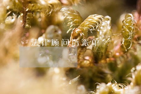 法律顾问指派单 法律顾问指派单