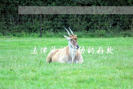 法律顾问援助的好处 法律顾问援助的好处