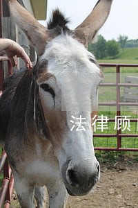 法律顾问收费多少钱 法律顾问收费多少钱