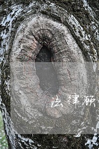 法律顾问收费标准广州 法律顾问收费标准广州