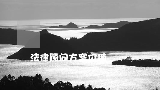 法律顾问方案价值 法律顾问方案价值