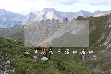 法律顾问日活动启动 法律顾问日活动启动