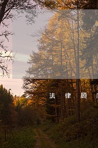 法律顾问是做什么工作的 法律顾问是做什么工作的