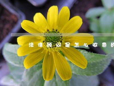 法律顾问是怎么收费的 法律顾问是怎么收费的