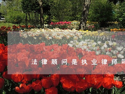法律顾问是执业律师吗 法律顾问是执业律师吗