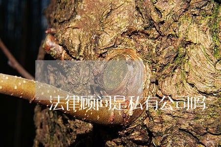法律顾问是私有公司吗 法律顾问是私有公司吗