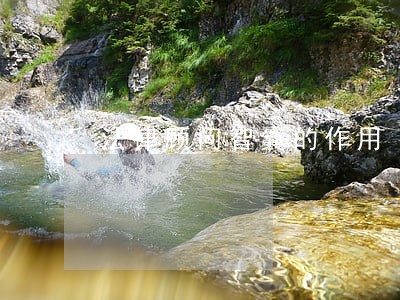 法律顾问智囊的作用 法律顾问智囊的作用