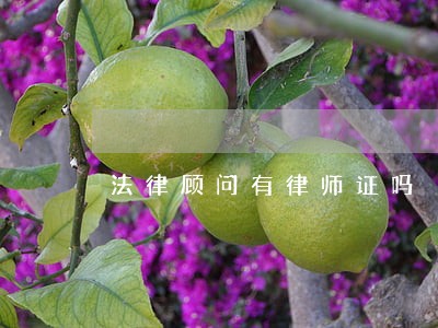 法律顾问有律师证吗 法律顾问有律师证吗