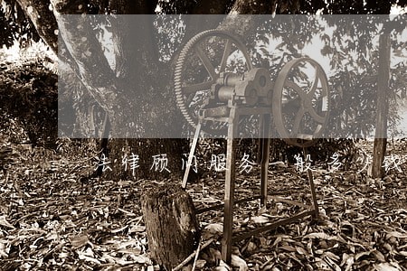 法律顾问服务一般多少钱 法律顾问服务一般多少钱