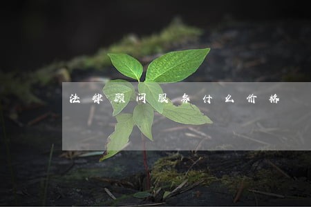法律顾问服务什么价格 法律顾问服务什么价格