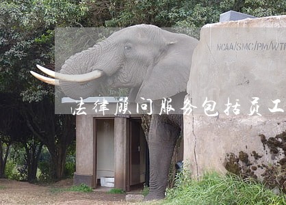 法律顾问服务包括员工