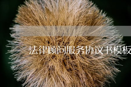 法律顾问服务协议书模板 法律顾问服务协议书模板