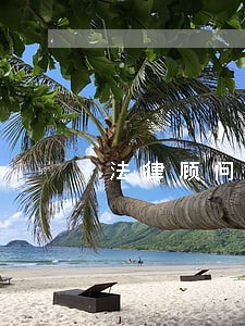 法律顾问服务合同书范本 法律顾问服务合同书范本
