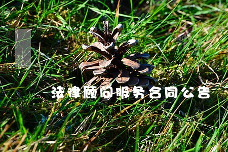 法律顾问服务合同公告