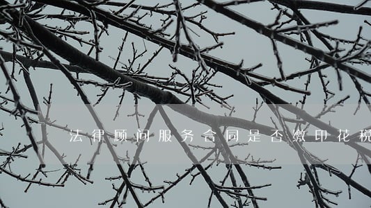 法律顾问服务合同是否缴印花税