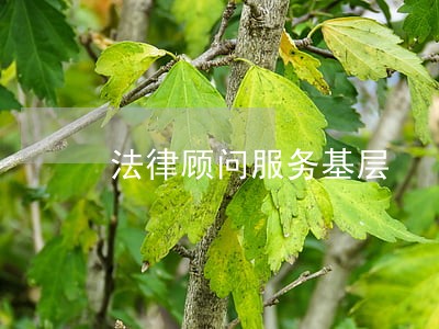 法律顾问服务基层 法律顾问服务基层
