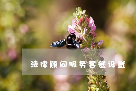 法律顾问服务套餐设置 法律顾问服务套餐设置