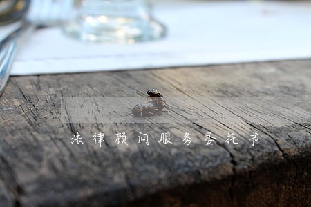 法律顾问服务委托书 法律顾问服务委托书