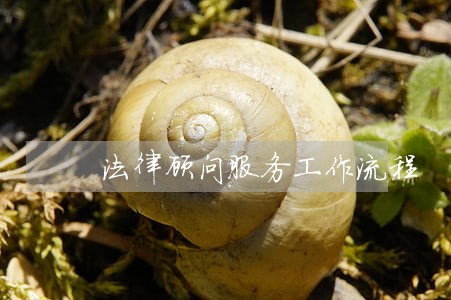 法律顾问服务工作流程 法律顾问服务工作流程