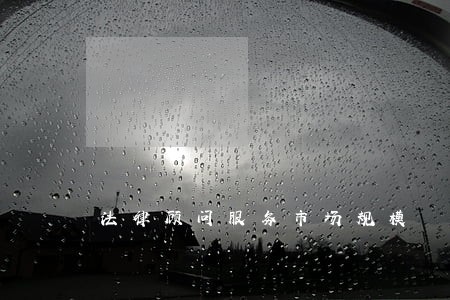 法律顾问服务市场规模 法律顾问服务市场规模