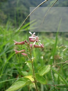 法律顾问服务指南电子书 法律顾问服务指南电子书