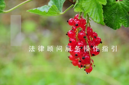 法律顾问服务操作指引 法律顾问服务操作指引