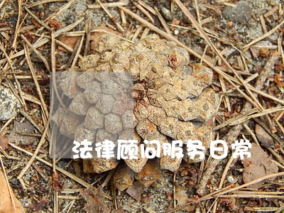 法律顾问服务日常 法律顾问服务日常