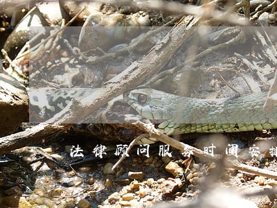 法律顾问服务时间安排 法律顾问服务时间安排