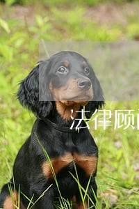 法律顾问服务条款