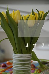 法律顾问服务标准化模式 法律顾问服务标准化模式