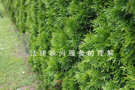 法律顾问服务的理解 法律顾问服务的理解