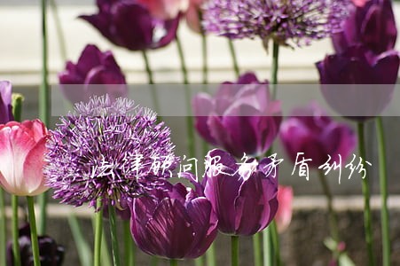 法律顾问服务矛盾纠纷 法律顾问服务矛盾纠纷