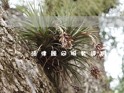 法律顾问服务评价表 法律顾问服务评价表