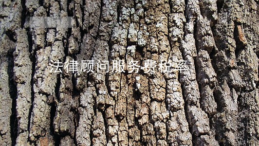 法律顾问服务费税率 法律顾问服务费税率