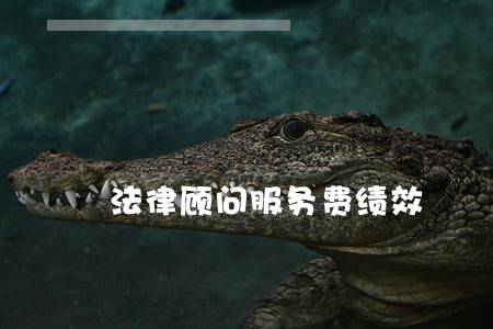 法律顾问服务费绩效