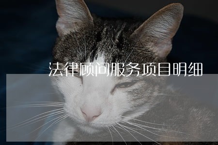 法律顾问服务项目明细 法律顾问服务项目明细