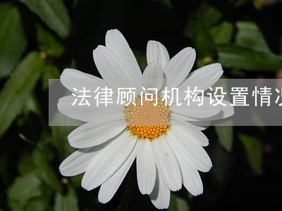 法律顾问机构设置情况 法律顾问机构设置情况