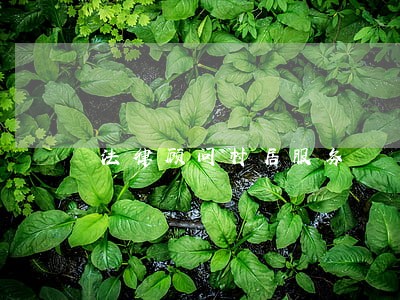 法律顾问村居服务 法律顾问村居服务