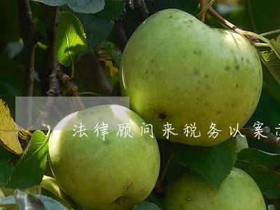 法律顾问来税务以案示法