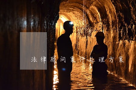 法律顾问案件处理方案 法律顾问案件处理方案