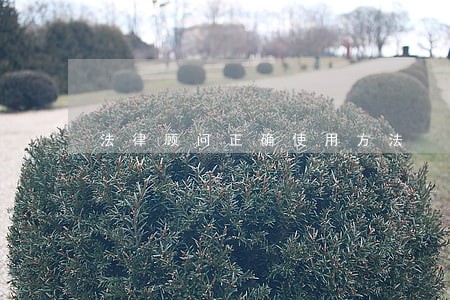 法律顾问正确使用方法 法律顾问正确使用方法