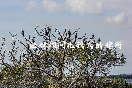 法律顾问比较大的律所 法律顾问比较大的律所