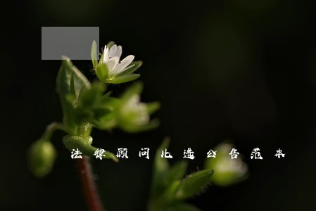 法律顾问比选公告范本 法律顾问比选公告范本