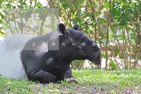 法律顾问比选邀请函 法律顾问比选邀请函